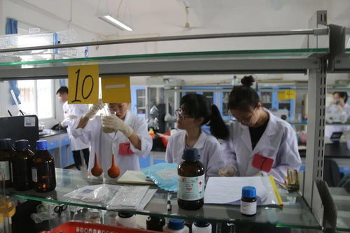 探索食品中的科学 食品科技学院风貌及其在计算机技术培训中的融合