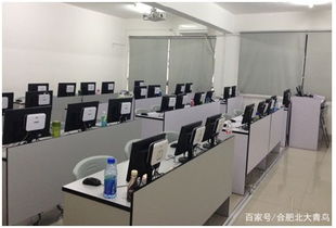 合肥计算机编程培训新选择 北大青鸟协同学院深度解析